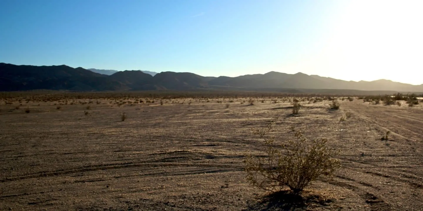 mexicali-la-chinesca-1440x720-2